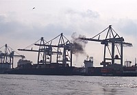 100_1962zi.jpg 100_1962zi.jpg