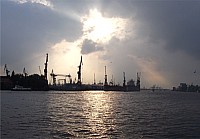100_1979zi.jpg 100_1979zi.jpg