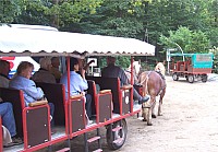 100_2022zi.jpg 100_2022zi.jpg