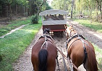 100_2025zip.jpg 100_2025zip.jpg