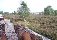 100_2028zi.jpg 100_2028zi.jpg