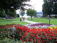 100_6622zi.jpg 100_6622zi.jpg