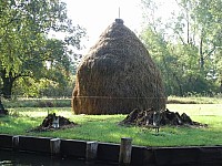 Berlin_SM_110.JPG Berlin_SM_110.JPG