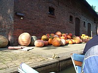 Berlin_SM_116.JPG Berlin_SM_116.JPG