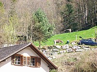 100_0432.jpg 100_0432.jpg