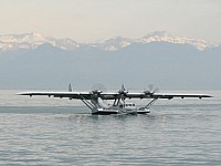 DO24.jpg