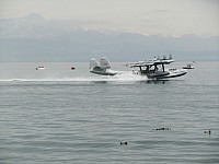 2012 DO_03.jpg