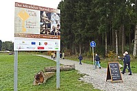 Galli