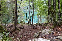 DSC04327zi.jpg DSC04327zi.jpg