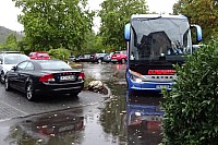 ziDSC01135.jpg ziDSC01135.jpg