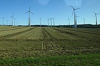ziDSC01199.jpg ziDSC01199.jpg