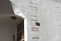 ziDSC01236.jpg ziDSC01236.jpg