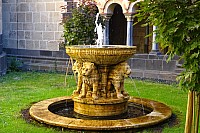 ziDSC01375.jpg ziDSC01375.jpg
