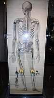 e1 (152).jpg e1 (152).jpg