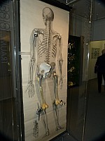 e1 (169).jpg e1 (169).jpg