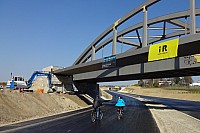 B31