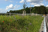 Zi-B31-05-24b.jpg Zi-B31-05-24b.jpg