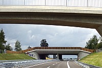 Zi-B31-07-11g.jpg Zi-B31-07-11g.jpg