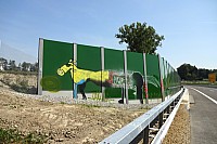 Zi-B31-08-01e.jpg Zi-B31-08-01e.jpg
