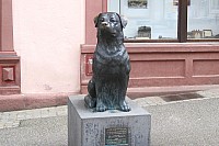 ziRW34.jpg ziRW34.jpg
