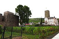 Zi-Rh07.jpg Zi-Rh07.jpg
