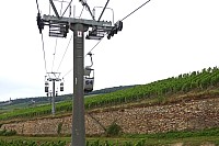 Zi-Rh12.jpg Zi-Rh12.jpg