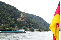 Zi-Rh31.jpg Zi-Rh31.jpg