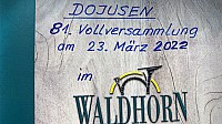 81.VV
