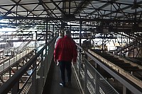 Saarlandreiset_056.jpg Saarlandreiset_056.jpg