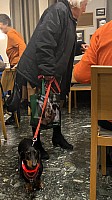 IMG_E2126.jpg IMG_E2126.jpg