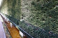 Herbstreise_2025_08.jpg Herbstreise_2025_08.jpg