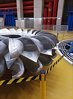 SM_035.jpg SM_035.jpg