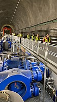 IMG_4367.jpg