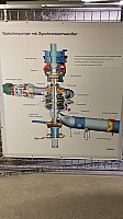 IMG_4370.jpg