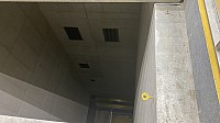 IMG_4382.jpg