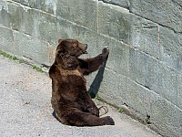 Anreise_29.jpg Anreise_29.jpg