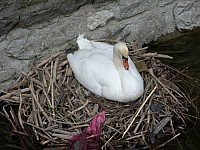 Anreise_46.jpg Anreise_46.jpg
