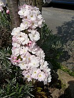 Anreise_52.jpg Anreise_52.jpg