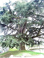 Anreise_68.jpg Anreise_68.jpg