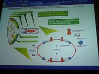 CERN_08.jpg CERN_08.jpg